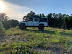 Land Rover Defender 110 by Osprey Custom Cars 1993 года